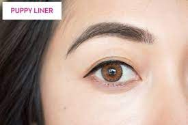 By mansi kohli let's first learn how to apply liquid eyeliner and then go on to check out the various styles to dress up our eyelids with if you don't fancy using gel liners or a liner pencil and would only want to. Korean Beauty Trends How To Do Puppy Liner Orange Blush And Gradient Lips