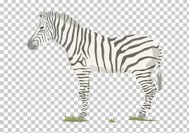 Maybe you would like to learn more about one of these? Zebra Food Chain Food Web Trophic Level Png Clipart Animals Autotroph Black And White Cartoon Zebra
