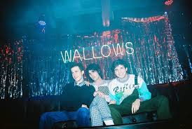 Play are you bored yet? Wallows Ft Clairo Are You Bored Yet Video 2019 Imdb