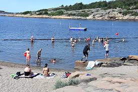 Den varme sommeren har gitt gode vekstforhold for bakteriene. K Izfidthw Efm