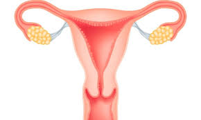 Penyebab Keputihan Pada Wanita Dan Cara Mengatasinya