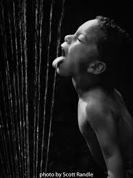 Scott Randle Photography