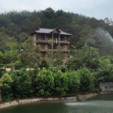 Malezya, pahang, raub district konumundaki 699172 yer içerisinden seçildi. Kami Temui Lembah Temir Resort Dipinggir Air Terjun Yang Penuh Dengan Durian Musang King