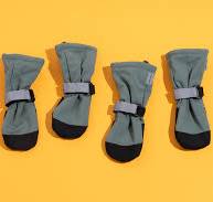 The 7 Best Dog Boots of 2025 | Reviews by Wirecutter