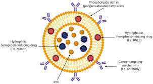 Image result for Ptycholobium contortum