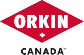 Discover, review and connect with local businesses in canada. Pest Control Winnipeg Orkin Canada