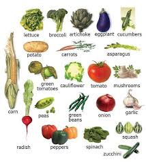 English Vocabulary Learn Portuguese Stuffed Mushrooms Vegetables