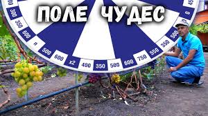 Она призывает государственных деятелей, журналистов, активистов и правозащитников встать на защиту. Privivka Vinograda Detali Tonkosti Uchebnoe Posobie Youtube