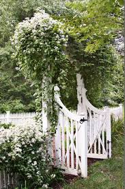 1001 Ideen Fur Garten Gestalten Mit Wenig Geld Garten Gestalten Kletternde Blumen Gartengestaltung