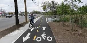 Freshkills Park: New Springville Greenway Cleaning