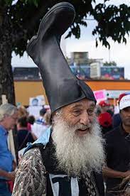 Vermin Supreme Wikipedia