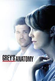 I seriously couldn't speak after watching. Grey S Anatomy 14 Ita Torrent Fasrcapital
