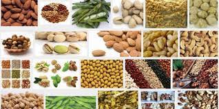 We did not find results for: 10 Jenis Kacang Yang Kaya Akan Manfaatnya Jagapati Com