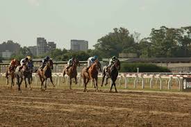 8:17am, march 14, 2021 edt. Free Horse Racing Picks Santa Anita Canterbury Park Wagertalk News