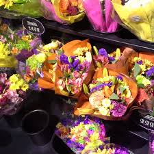 They sell oysters in the shop next door. Food Lion Flowers Flower