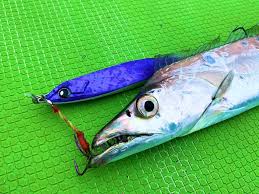 太刀魚 針 おすすめ