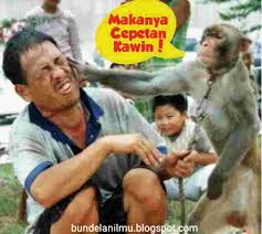 17 Meme Lucu Jomblo Gokil Bikin Ketawa Bahagia Beja Beja