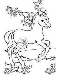 45 Fantastic Baby Horse Coloring Pages Axialentertainment At this time, it is very easy to get the websites to make the horse design coloring pages.