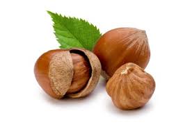 I D Also Love To Plant At Least One Hazelnut Tree