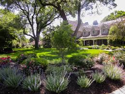 Landscaping Amp Landscape Design Services In Austin Tx Front Garden Landscape Evergreen Landscape Front Yard Large Backyard Landscaping