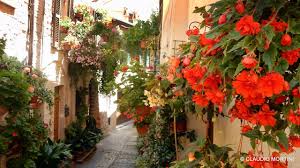 Qualità da hd a 4k, disponibile gratuitamente su tutti i dispositivi! Umbria Spello In Fiore 2020 4k Youtube