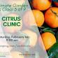 Citrus Clinic