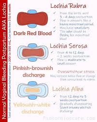 How long do you bleed after giving birth? Lochia This Is The Term For Vaginal Dr Hayley Peckston Facebook
