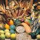 Garden to Table: A Plethora of Produce