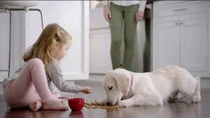 Image result for purina ad