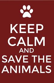 Pin By Evelina Price On Animals Keep Calm Animal Activism Vegan Animals