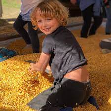 General Picture Of Christian Convery Photo 150 Of 224 Kids Photography Boys Blonde Kids Cute Little Boys