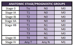 Stage 0 pancreatic cancer and carcinoma in situ are terms used to describe abnormal cells contained within the pancreatic lining. Staging Australian Pancreatic Cancer Genome Initiative