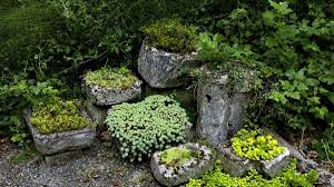 Check spelling or type a new query. How To Make Hypertufa Garden Planters And Containers Dengarden