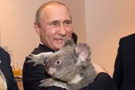 「Vladimir Putin」的圖片搜尋結果