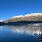 Alaska Wildlife Tour: See Native Animals
