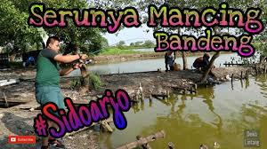 Menegangkan Mancing Bandeng By Dewa Lintang
