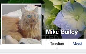 Sign in and start exploring all the free, organizational tools for your email. Scamhaters United Ltd Visit Us Also On Facebook And Instagram Mike Bailey Hiding The Stolen Pictures Of Steve G Jones