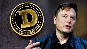 Dogecoin (doge) price live statistics. Dogecoin Prices Dip Sharply As Elon Musk Appears On Saturday Night Live