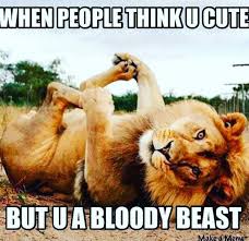 50 Very Funny Lion Meme Pictures And Images