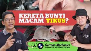 On the road price without insurance. Kereta Bunyi Macam Tikus Asal Pagi Jer Berbunyi Germancarmechanics Youtube