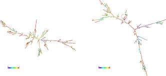 Create a beautiful png logo design with graphicsprings. The Curevac Vaccine And A Brief Tour Through Some Of The Wonders Of Nature Articles