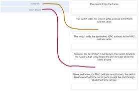 You can also go to the all chapter and online assessment by the links in this table. Refer To The Exhibit A Switch Receives A Layer 2 Frame That Contains A Source Mac Address Of 000b A023 C501 And A Destination Mac Address Of 0050 0fae 75aa Place The Switch Steps In The
