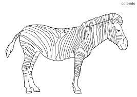 Calm species from a farm, like horse, donkey, dog, goat, cow, and pigs. Zoo Animals Coloring Pages Free Printable Zoo Coloring Sheets