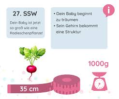 Die erste reaktion darauf, vom hungergefühl einmal abgesehen, ist, das. 27 Ssw Schwangerschaftswoche