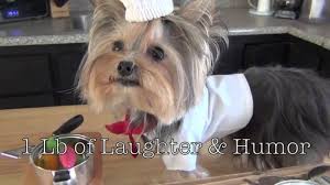 Misa Minnie Kopegin Yemek Yapmasi Misa Minnie Dog Safe Food Can Dogs Eat