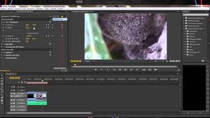 Para abrirlo, haz doble clic en el ícono púrpura de la aplicación que tiene las letras pr y luego haz clic en archivo en la barra de menú de la parte superior de la pantalla. Como Usar Adobe Premiere Pro Cs6 Curso Basico Parte 1 Youtube