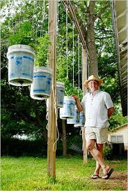 Also, those who lack an area that will receive the needed 6 to 8 hours of sunlight that tomato plants require. Upside Down Crops Are Growing In Popularity The New York Times