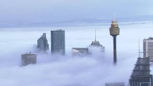 This north sydney café is now doing takeaway pizza toasties for lockdown. Sydney News Fog Covers Sydney City Interstate Travel Rules Tightened And Grants Given To Locked Down Businesses Abc News