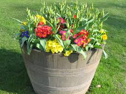Le piante grasse possono rendere gli ambienti più accoglienti: I Vasi Da Giardino Per Arredare Con Piante E Fiori
