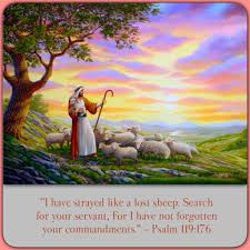 Pin On Trust In Jehovah